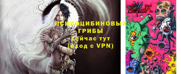 Альфа ПВП Мегион