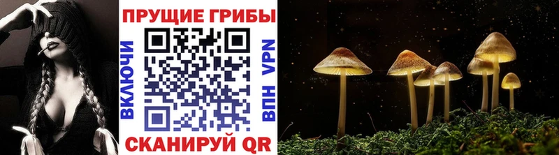 MEGA ссылки  Обнинск  Псилоцибиновые грибы мухоморы 