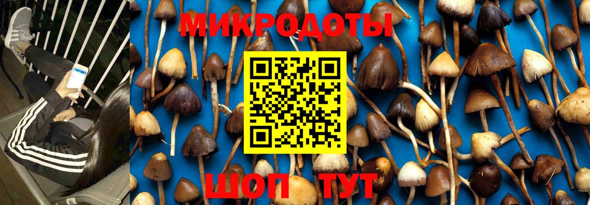 даркнет сайт  Вход с VPN  Обнинск  Галлюциногенные грибы Psilocybine cubensis 