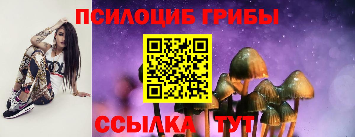 Галлюциногенные грибы мицелий Обнинск